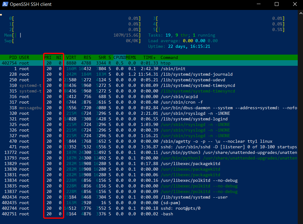 What is htop and How to Use It on a VPS (htop priority and nice values)