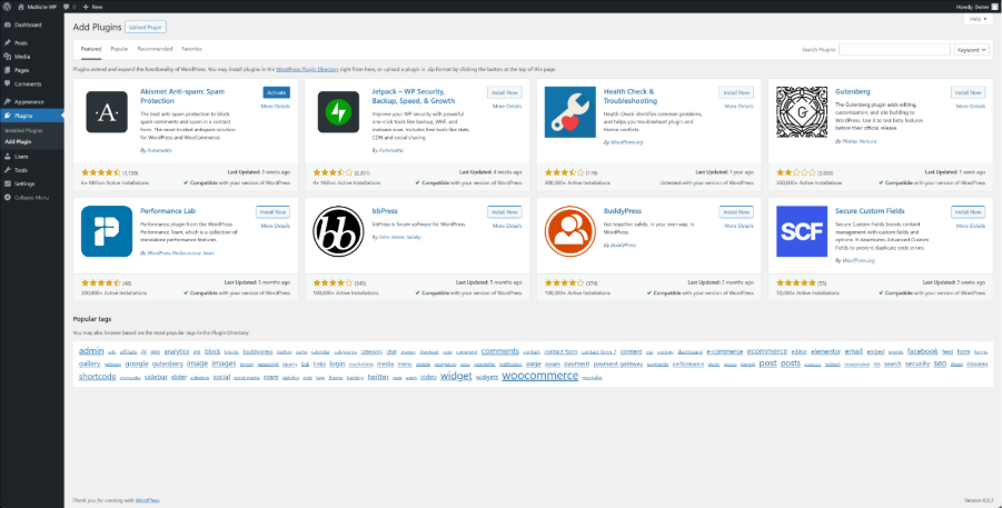 WordPress Plugin page