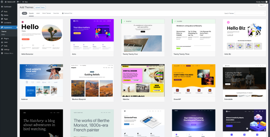 WordPress Theme page