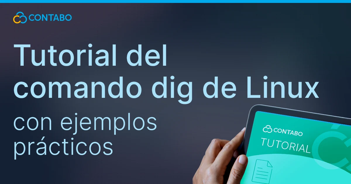 Tutorial del comando dig de Linux con ejemplos prácticos